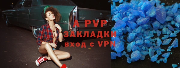 гидра Алексин