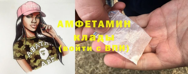 гидра Алексин