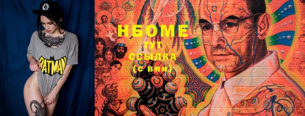 дживик Гатчина