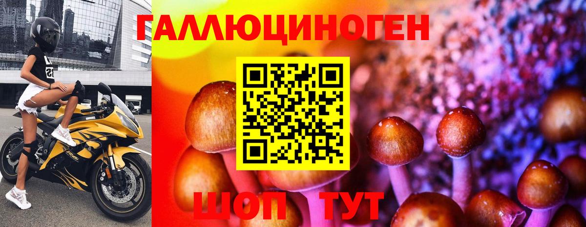 Псилоцибиновые грибы мицелий Ишим
