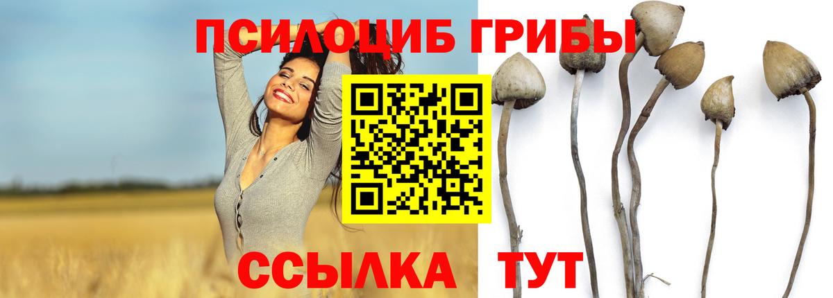 Галлюциногенные грибы мухоморы  Вход с VPN  Ишим  Псилоцибиновые грибы мухоморы 